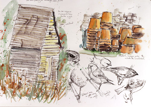 original_paintings_lost_gardens_heligan_cornwall_by_ian_griffiths