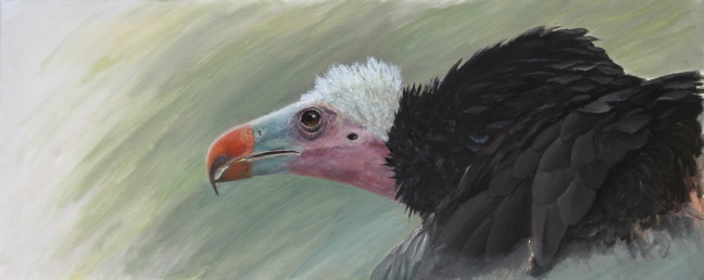 vulture_original_painting_by_ian_griffiths