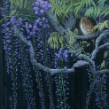 Thrush. Secret garden