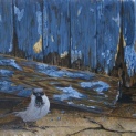 House Sparrow. The doorway