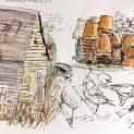Heligan