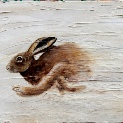 Mad Hare