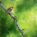 Coal Tit on linen