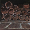Wren. Potting shed