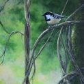Coal Tit on linen