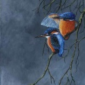 Kingfisher on linen